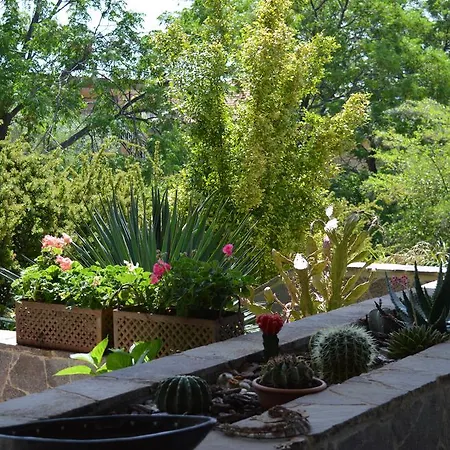 Alojamento de Acomodação e Pequeno-almoço Mondello Holiday *